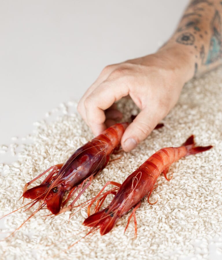 Mano de un chef seleccionando gamba roja fresca de Dénia sobre una base de granos de arroz en el restaurante Peix & Brases.